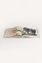 JOHN DERIAN PICTURE BOOK JDPICTUREBOOK 1 John Derian 