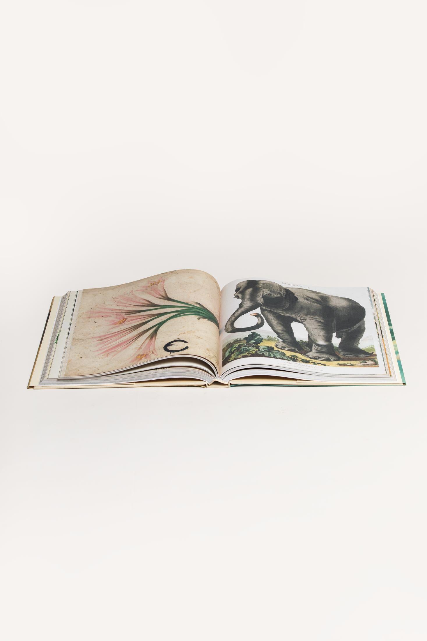 JOHN DERIAN PICTURE BOOK JDPICTUREBOOK 1 John Derian 