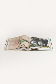 JOHN DERIAN PICTURE BOOK JDPICTUREBOOK 1 John Derian 