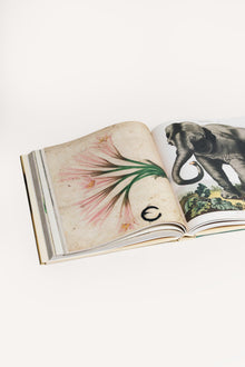 JOHN DERIAN PICTURE BOOK JDPICTUREBOOK 1 John Derian 